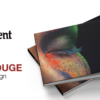 Catalouge design