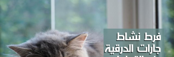 كتابة مقالات اونلاين