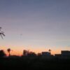 طالبة