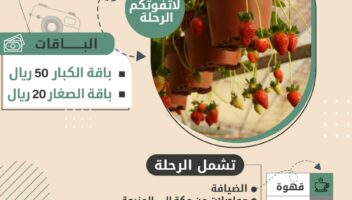نموذج أعمال