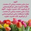 مشرف شوون الفنيه للخدمات الافتراضيه