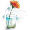 Graphic designs & art works