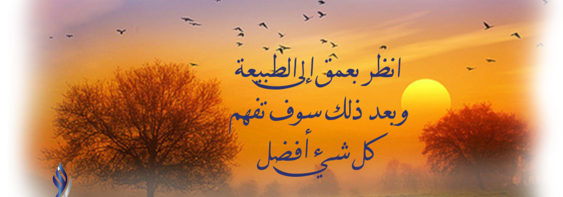 تصاميم