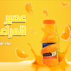 اعلانات سوشيل ميديا