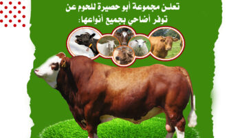 نموذج أعمال