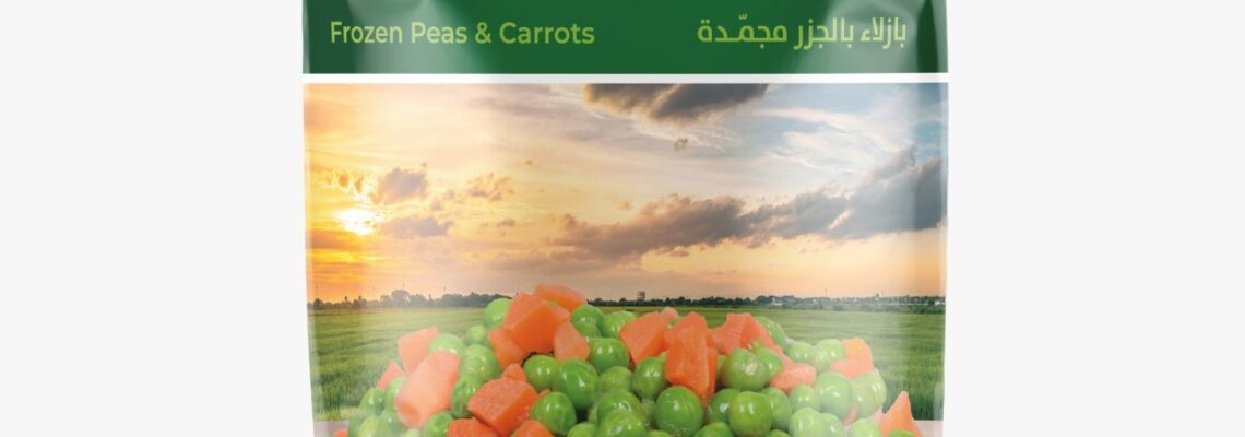 تصميمات شركة السعودية