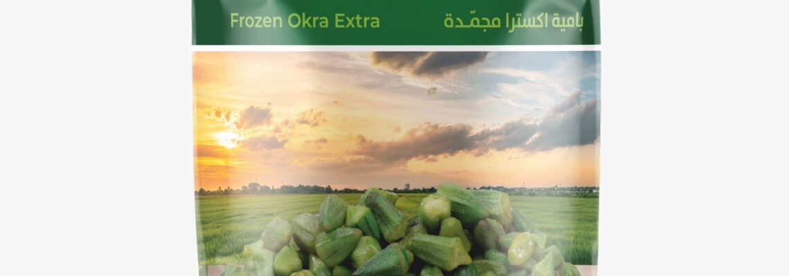 تصميمات شركة السعودية