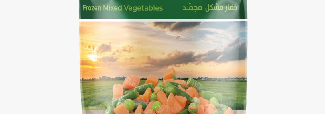 تصميمات شركة السعودية