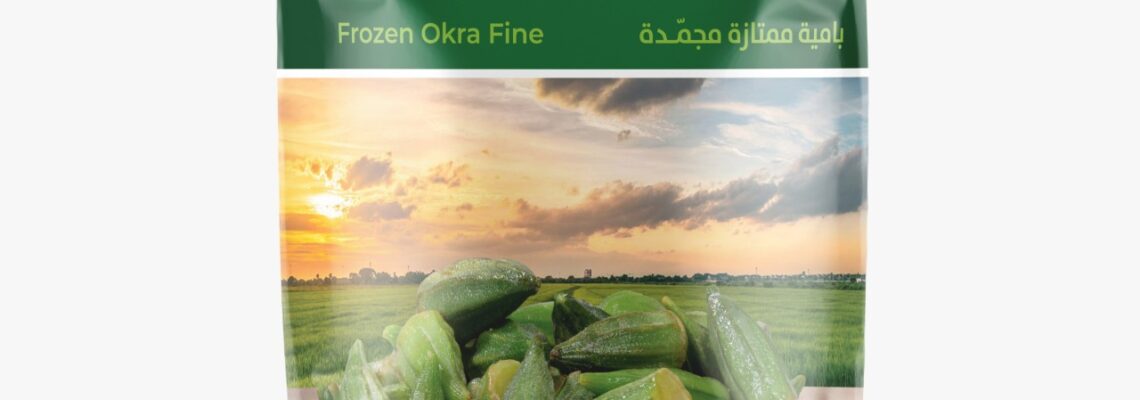 تصميمات شركة السعودية