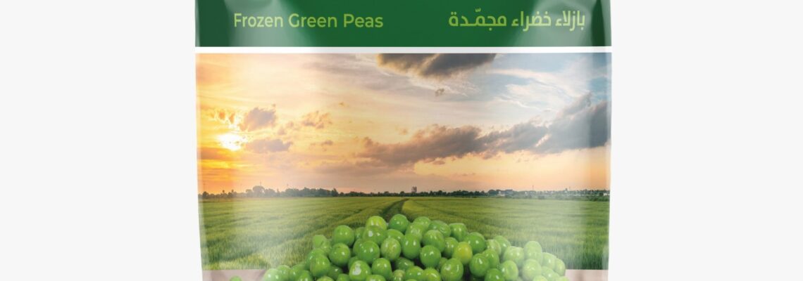 تصميمات شركة السعودية
