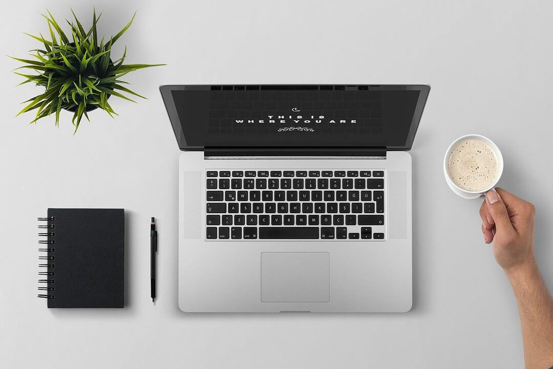 تفريغ نصوص من PDF الى وورد وتفريغ فيديوهات