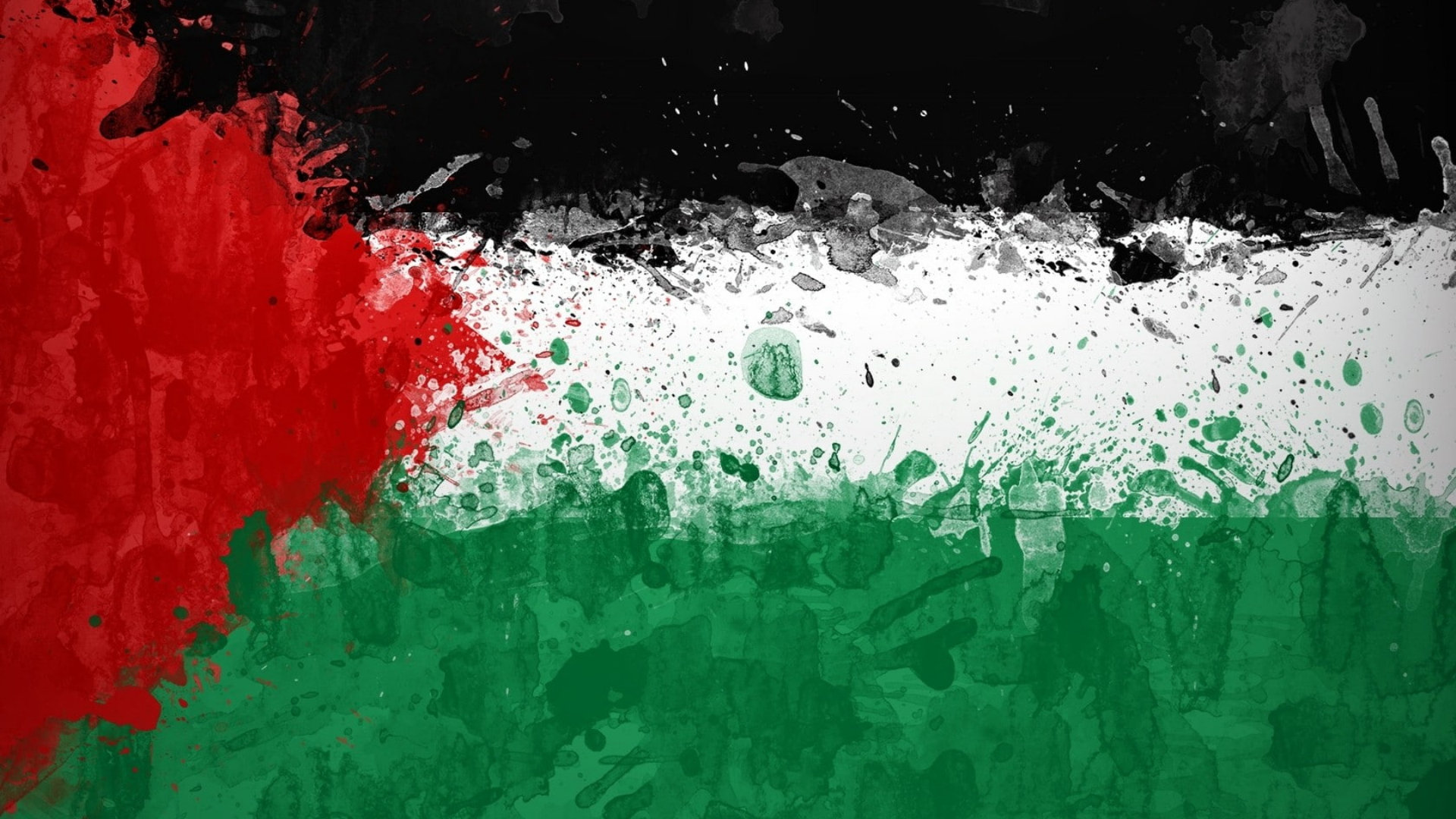 المستخدم راية