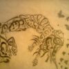 رسوماتى