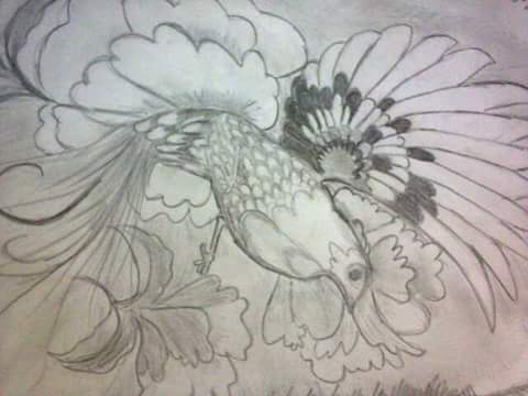 رسوماتى