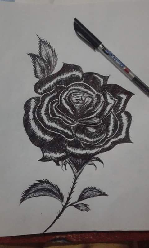 رسوماتى