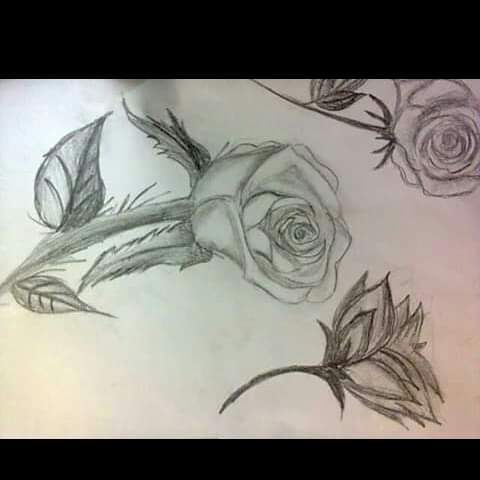 رسوماتى