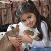 مترجم