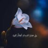 مترجم