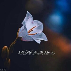 مستقل