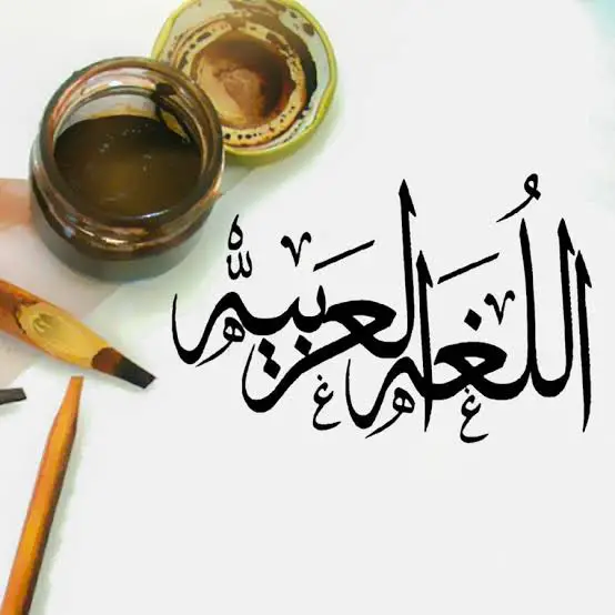 المستخدم راية