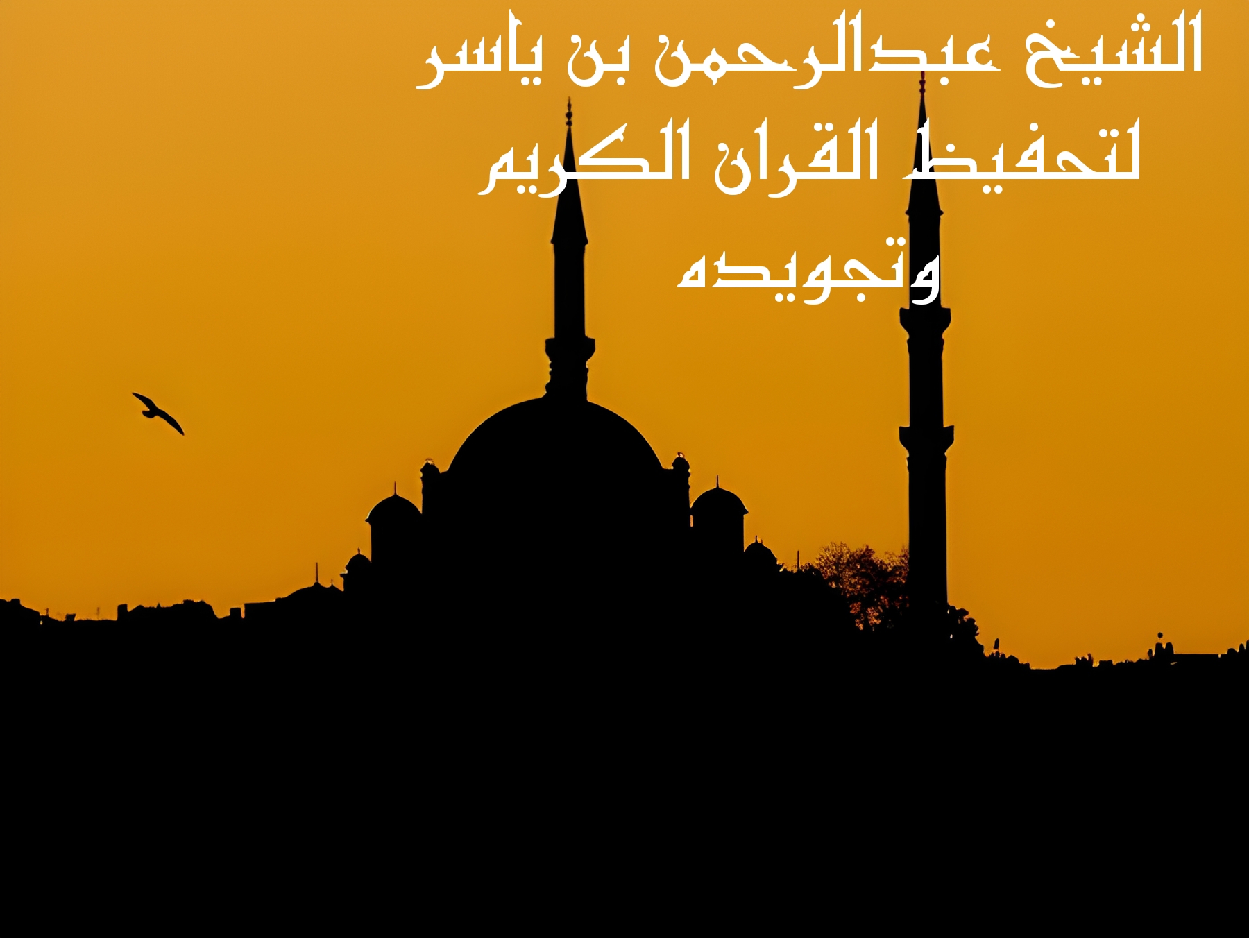 تحفيظ القران الكريم وعلومه وتجويده