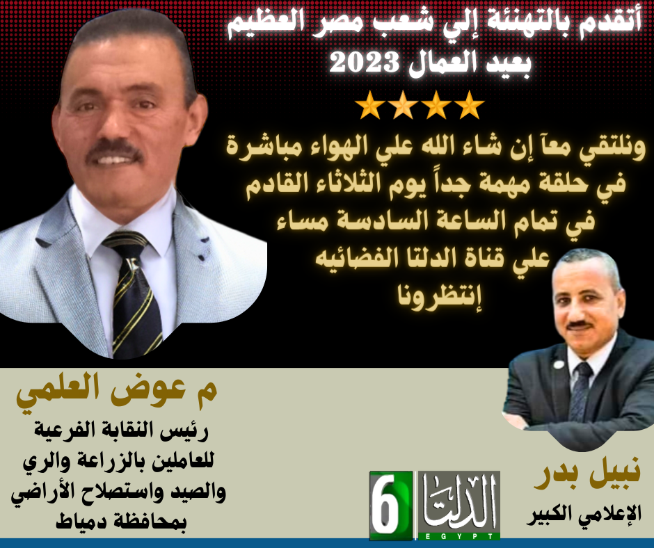مصمم محتوي