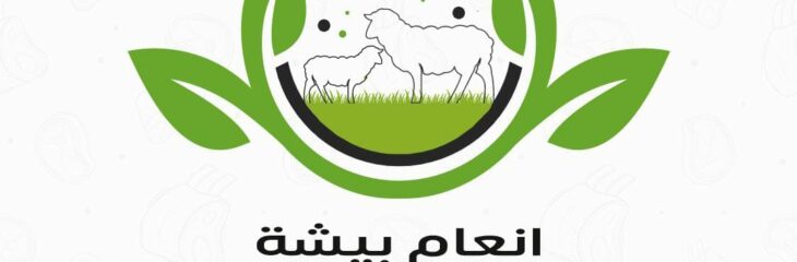 تصميم هوية بصرية بطريقة محترفة