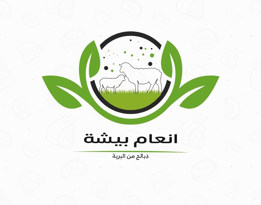 تصميم هوية بصرية بطريقة محترفة