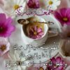 تسوق