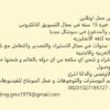 مسوق الكتروني