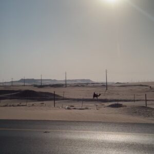 مستقل