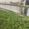 مساعده اداريه /مصممه جرافيك/مسوقه