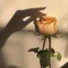 خدمه عملاء