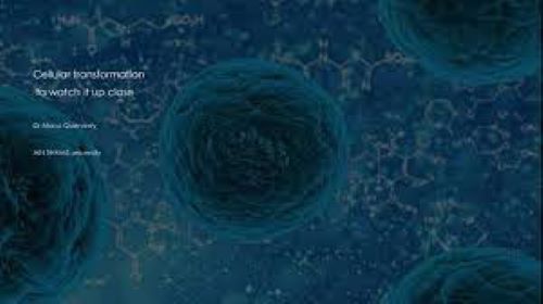 cancer biology