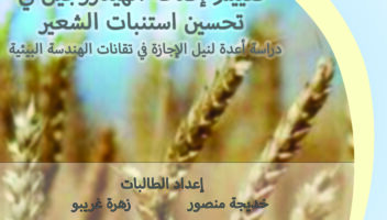 نموذج أعمال