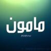 مدير مواقع اجتماعية