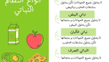 نموذج أعمال