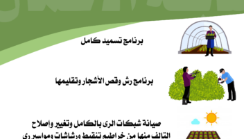 نموذج أعمال