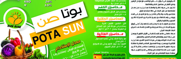 تغليف عبوات