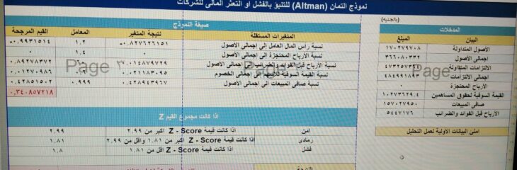 ادخال البيانات التحليل المالي