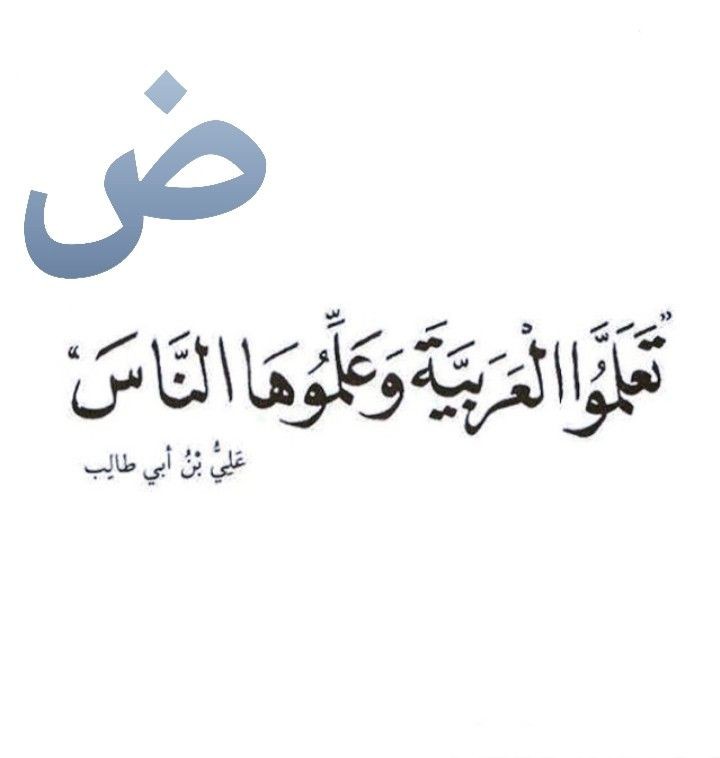 المستخدم راية