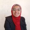 Data analyst / content creator /sales consultant / Data scrapper/
