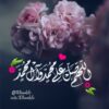 مصمم جرافيك