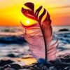 تفريغ صوتي وخدمة العملاء