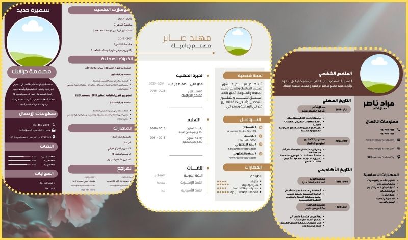 تصميم السيرة الذاتية باحترافية
