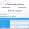ملفات عروض تقديمية PowerPoint