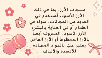 نموذج أعمال
