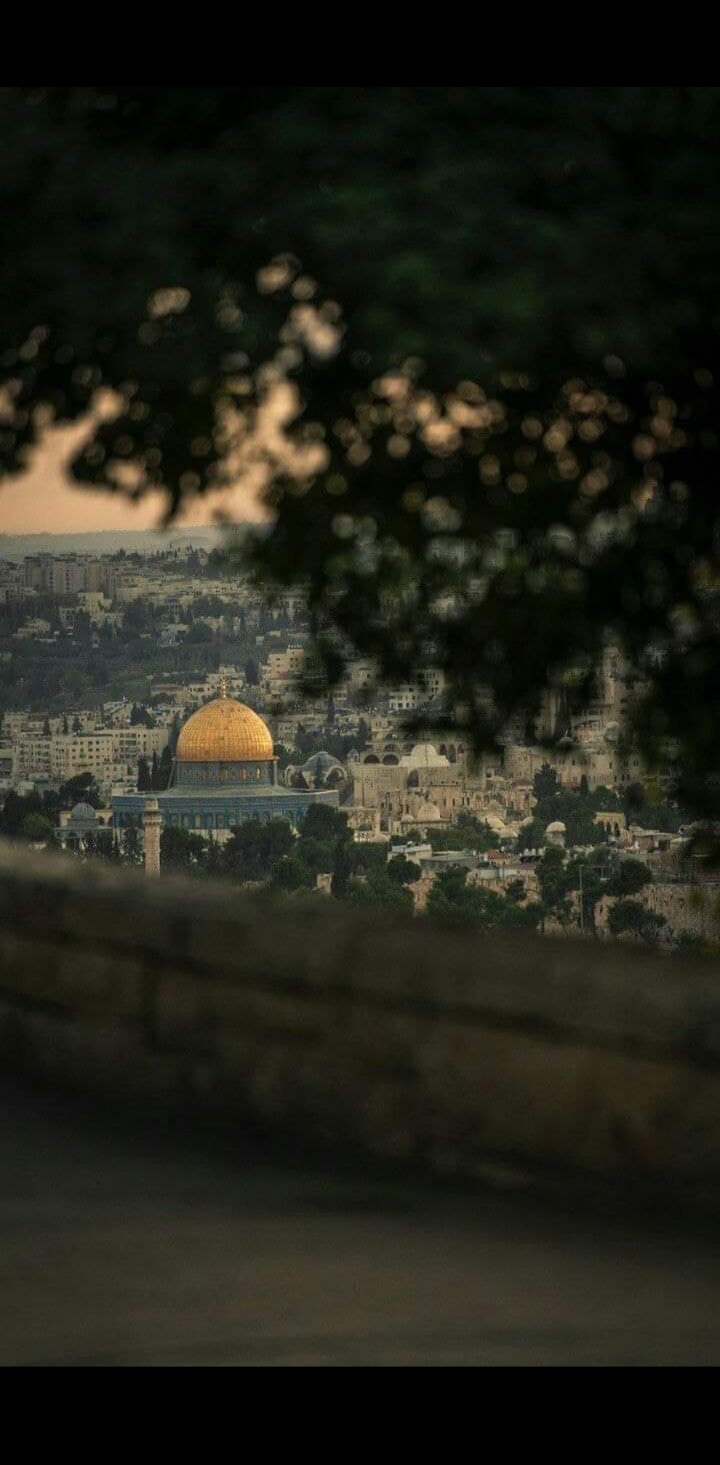 المستخدم راية