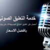 تعليق صوتي احترافي