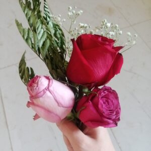 مستقل